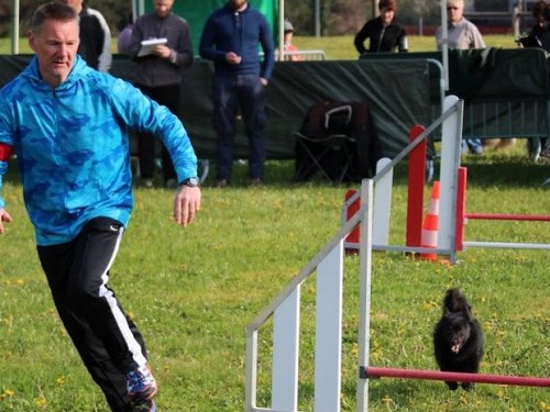 Premier concours d'agility de Fontaines, le 12 avril 2015