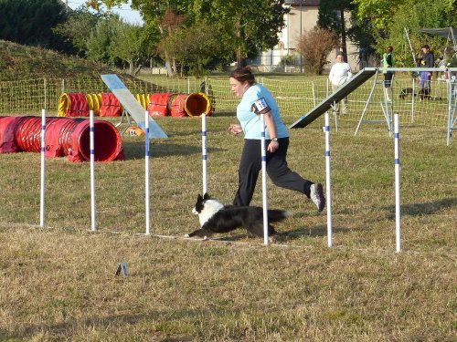 Concours d'agility de Fontaines, le 16 septembre 2018