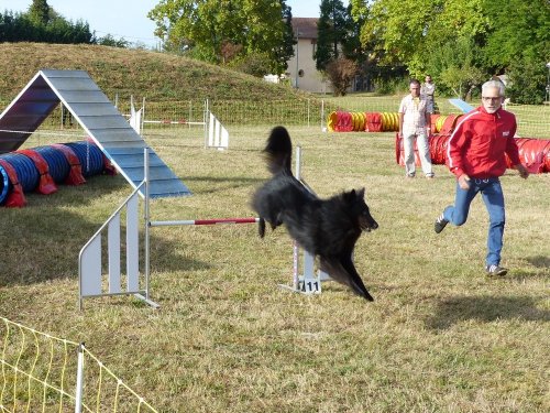 Concours d'agility de Fontaines, le 16 septembre 2018