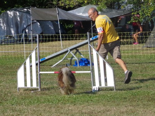 Concours d'agility, Fontaines, 9 et 10 septembre 2023