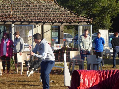 Concours d'agility, Autun, 9 septembre 2018