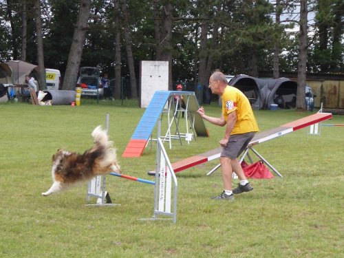 Concours d'agility, Daix, 17 juin 2018