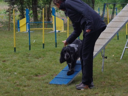 CAESC et Pass-agility Fontaines 17 septembre 2016