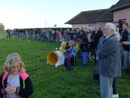 Démonstration à Fragnes, le 25 octobre 2015