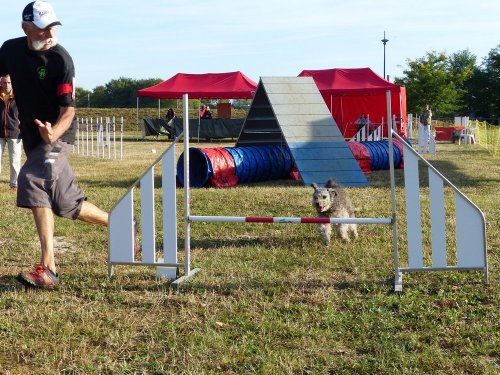 Concours d'agility de Fontaines, le 16 septembre 2018