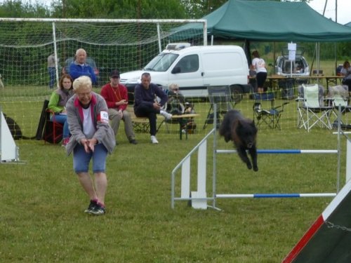 Concours d'agility, Magny sur Tille, 2 juillet 2017