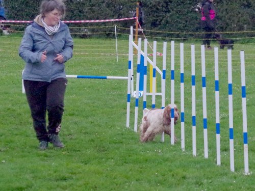 Concours d'agility, Barges, 31 mars 2024