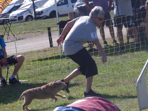 Concours d'agility, Fontaines, 9 et 10 septembre 2023