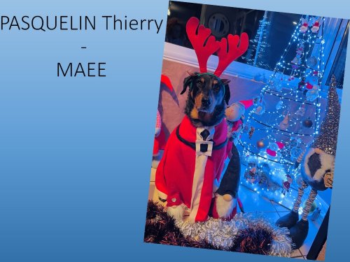 Concours photos 2022 : sur le thème de Noël