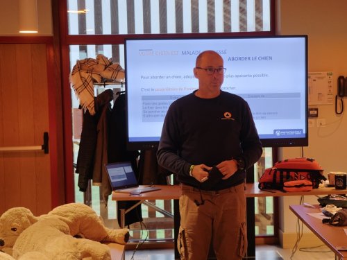 Formation secours canin 1er trimestre 2025