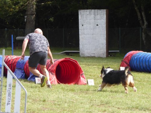 Concours d'agility, Daix, 17 juin 2018