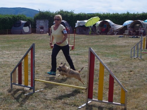 Concours d'agility, Autun, 9 septembre 2018