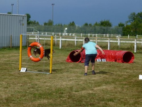 Concours d'agility, Montret, 30 juillet 2017