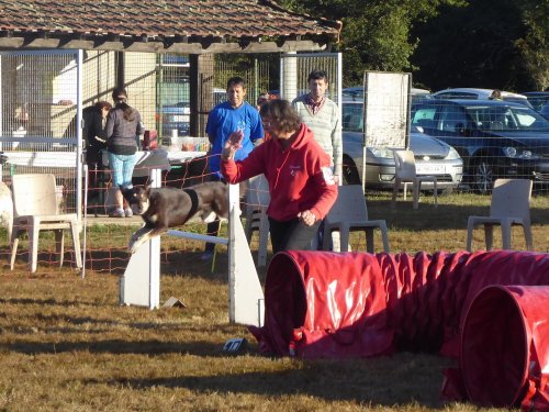 Concours d'agility, Autun, 9 septembre 2018