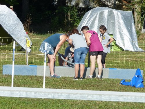 Concours d'agility, Fontaines 9 et 10 septembre 2023