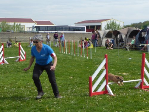 Concours d'agility, Barges, 21 avril 2019