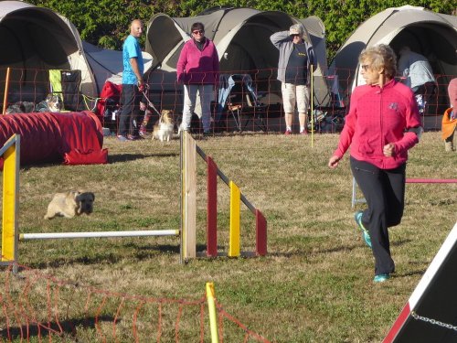 Concours d'agility, Autun, 9 septembre 2018