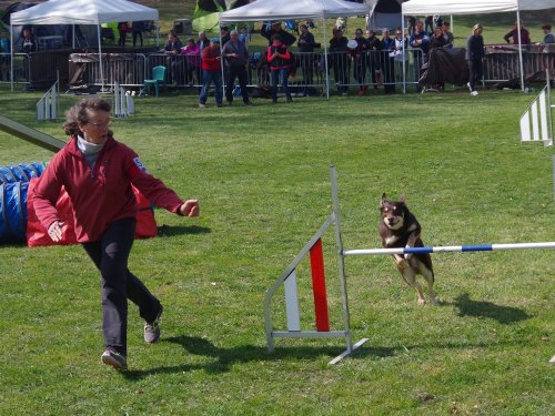 Concours d'agility, Le Creusot, 24 mars 2019