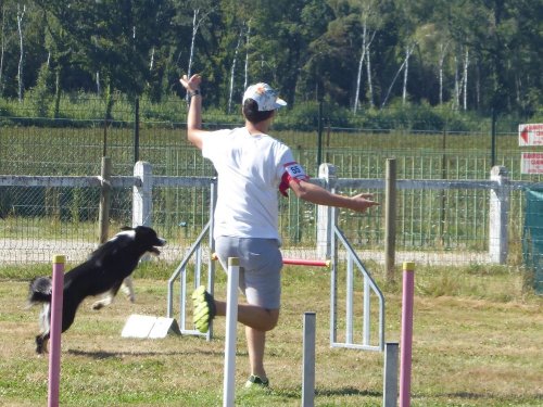 Concours d'agility, Montret, 29 juillet 2018