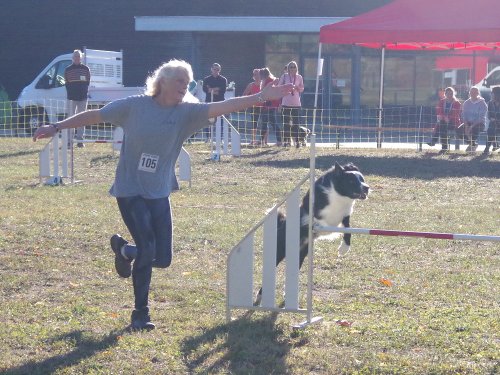 Concours d'agility, Fontaines 11 septembre 2022