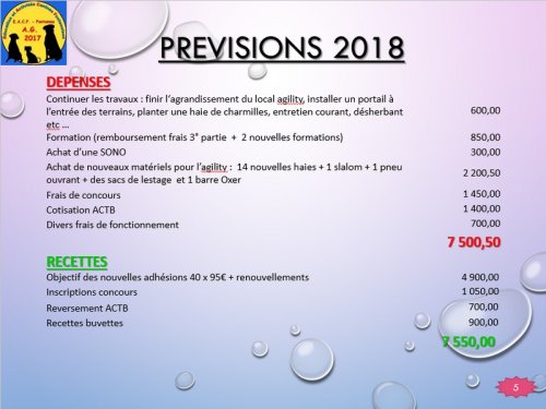 Bilan 2016 présenté lors de l'assemblée générale 2017