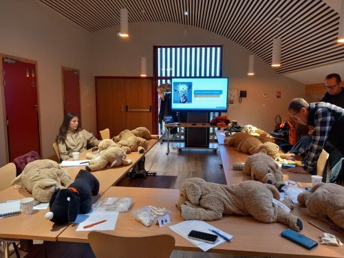 Formation secours canin 1er trimestre 2025