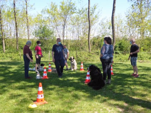 Cours d'éducation du mois de juin 2021