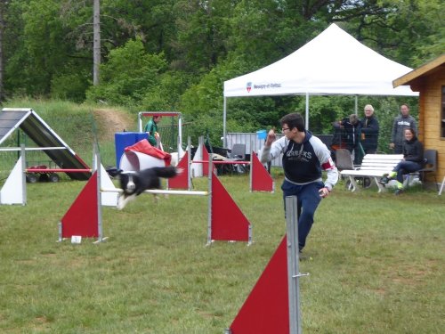 Concours d'agility, Messigny Vantoux, 12 et 13 mai 2018