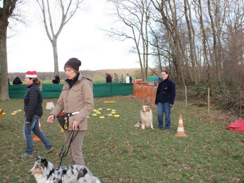 Education canine, 21 décembre 2019