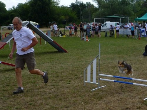 Concours d'agility, Magny sur Tille, 12 juillet 2015