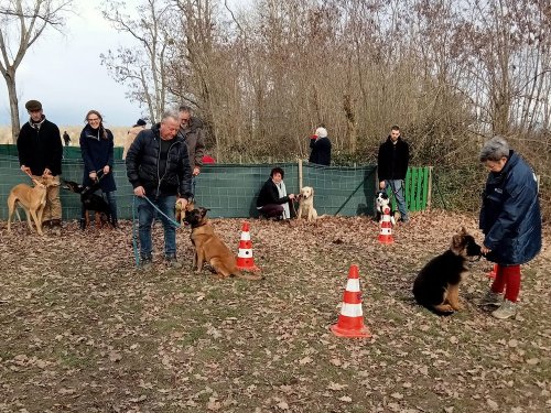 Ecole du chiot, mars 2024