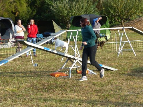 Concours d'agility de Fontaines, le 16 septembre 2018