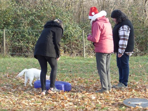 Education canine, 17 décembre 2022