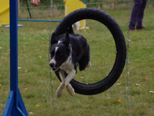 CAESC et Pass-agility Fontaines 17 septembre 2016