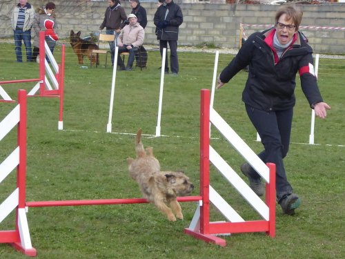 Concours d'agility, Barges, 1 avril 2018