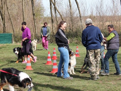 Cours d'éducation du 7 avril 2018