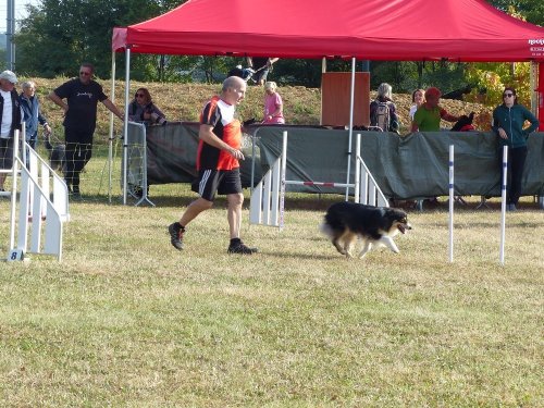 Concours d'agility de Fontaines, le 16 septembre 2018