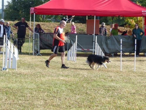 Concours d'agility de Fontaines, le 16 septembre 2018