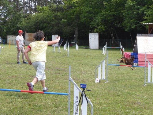 Concours d'agility, Daix, 17 juin 2018