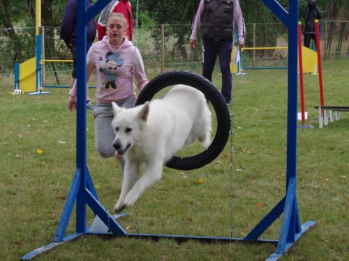 CAESC et Pass-agility Fontaines 17 septembre 2016