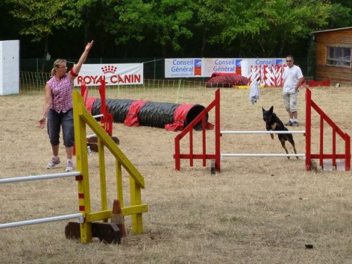 Concours d'agility, Nuits Saint Georges, 26 juillet 2015