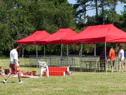 Concours d'agility de Fontaines, le 28 mai 2017