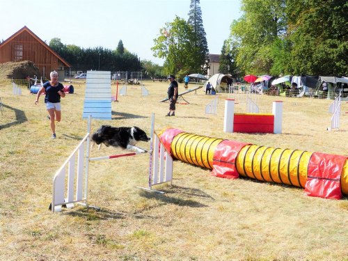 Concours d'agility de Fontaines, le 15 septembre 2019