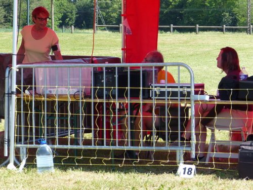 Concours d'agility de Fontaines, le 28 mai 2017