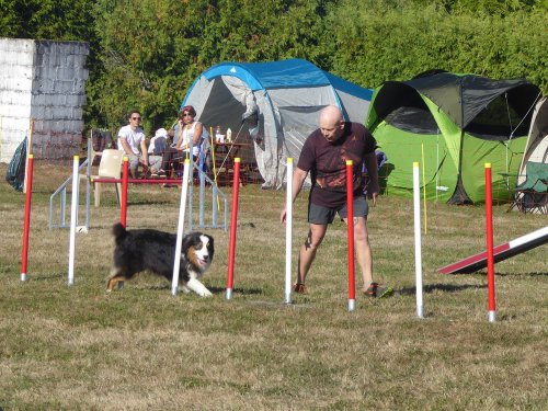 Concours d'agility, Autun, 9 septembre 2018