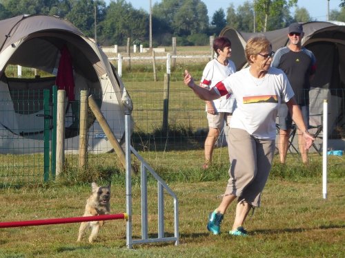 Concours d'agility, Montret, 29 juillet 2018