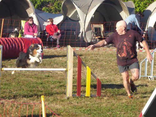 Concours d'agility, Autun, 9 septembre 2018