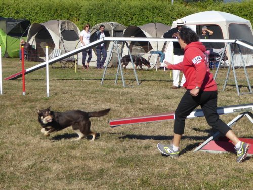 Concours d'agility, Autun, 9 septembre 2018