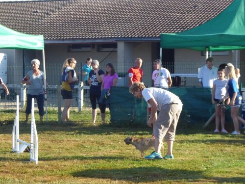 Concours d'agility, Montret, 29 juillet 2018