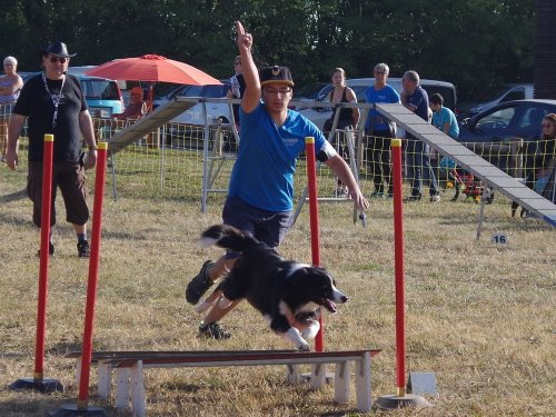 Concours d'agility de Fontaines, le 15 septembre 2019